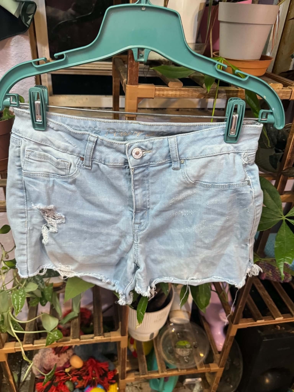Rewash Pale Blue Frayed Denim Cutoff Shorts
